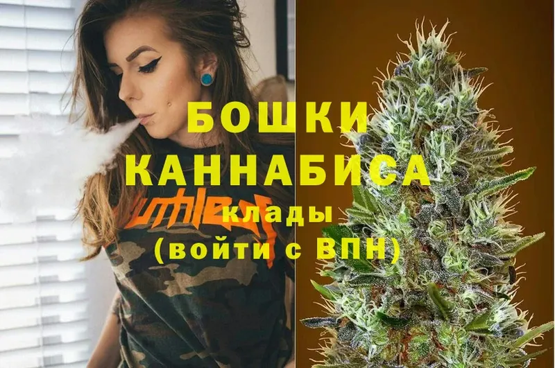 Бошки марихуана OG Kush  цены   Рассказово 